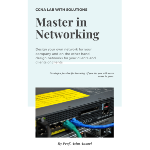 Master in Networking